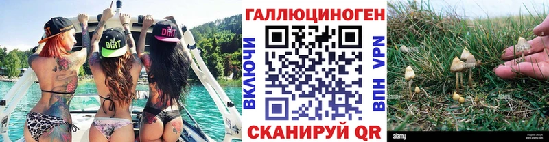 Галлюциногенные грибы прущие грибы  Коряжма 