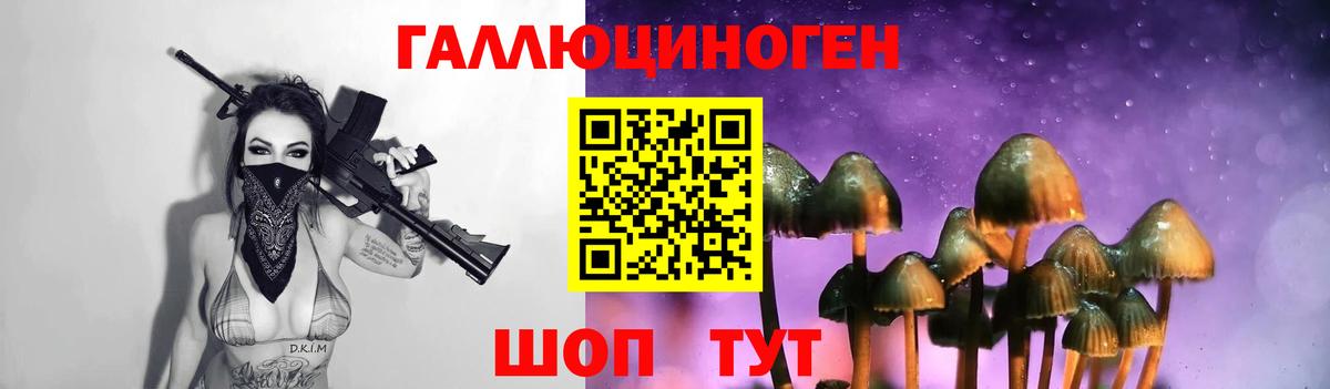Галлюциногенные грибы Psilocybine cubensis Коряжма